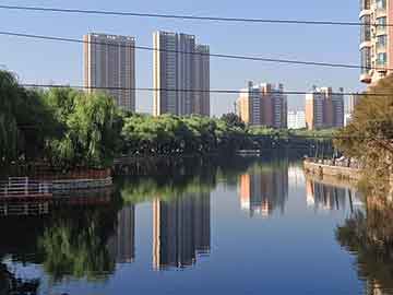 91大事件线路相关的91网在线观看：热度背后的深层次分析