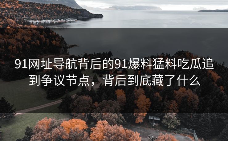 91网址导航背后的91爆料猛料吃瓜追到争议节点，背后到底藏了什么