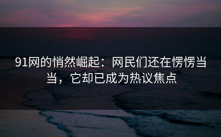 91网的悄然崛起：网民们还在愣愣当当，它却已成为热议焦点