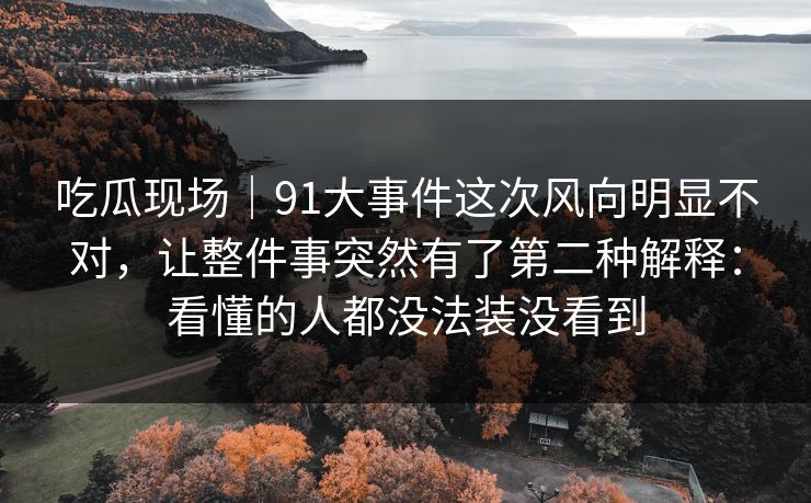 吃瓜现场｜91大事件这次风向明显不对，让整件事突然有了第二种解释：看懂的人都没法装没看到