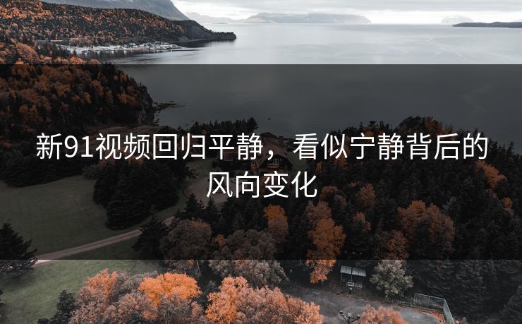 新91视频回归平静，看似宁静背后的风向变化
