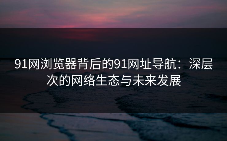91网浏览器背后的91网址导航：深层次的网络生态与未来发展