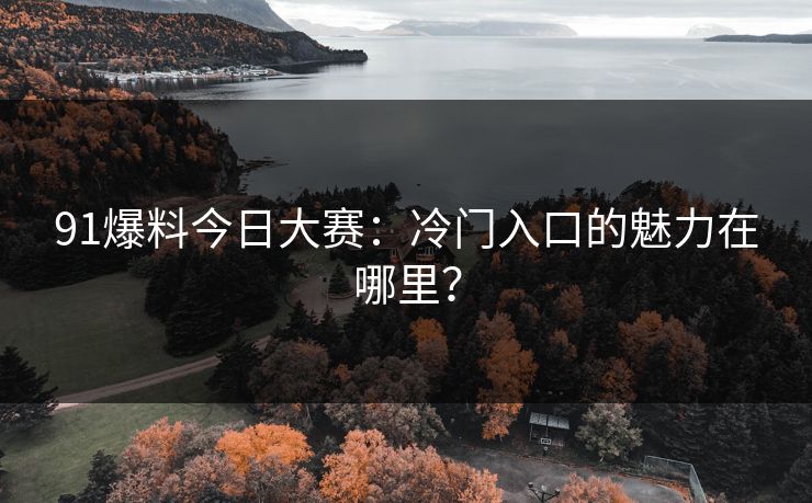 91爆料今日大赛：冷门入口的魅力在哪里？