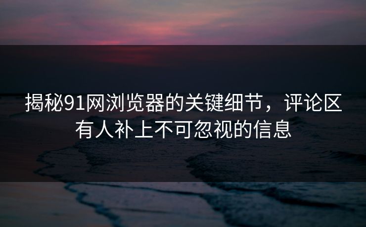 揭秘91网浏览器的关键细节,评论区有人补上不可忽视的信息